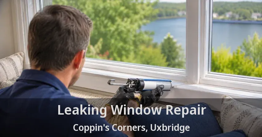 Leaking Window Repair Coppin's Corners, Uxbridge - ON