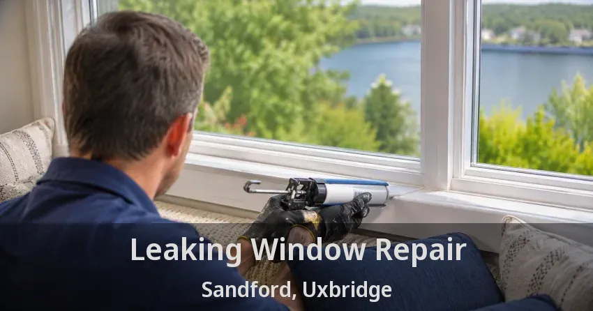 Leaking Window Repair Sandford, Uxbridge - ON