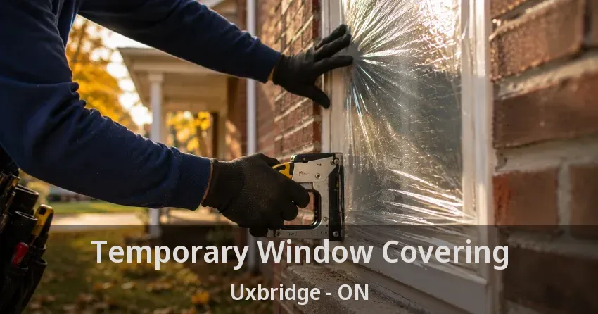 Temporary Window Covering Uxbridge - ON